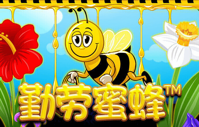 bob电竞入口安装